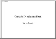 Varga Tamás - Címzés IP