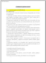 A budapesti agglomerációról
