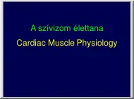 Dr. Ivanics Tamás - A szívizom