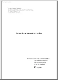 Antalné Ángyán Andrea - Írország munkaerőáramlása