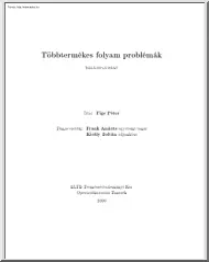 Fige Péter - Többtermékes folyamproblémák