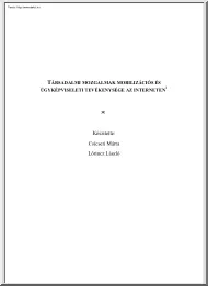 Csicseri-Lőrincz - Társadalmi mozgalmak mobilizációs és ügyképviseleti tevékenysége az interneten