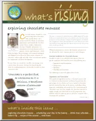 Exploring chocolate mousse