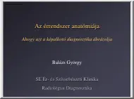 Balázs György - Az érrendszer anatómiája