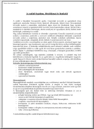 A család fogalma, életciklusai és funkciói