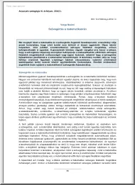 Varga Noémi - Szövegértés a matematikaórán