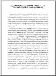 Biztonsági szervezetek: ENSZ, NATO