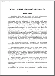 Magyar írók, költök pályafutása