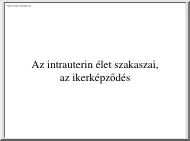 Az intrauterin élet szakaszai, az ikerképződés