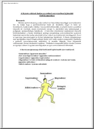 A Karate edzések hatása az emberi szervezetben lejátszódó életfolyamatokra