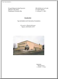 Wetzer Ilona - Egy kultúraközvetítő