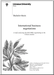 Bengtsson-Nielsen - International Business Negotiations