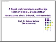 A fogak makroszkópos anatómiája, a fogászatban használatos síkok, irányok, jelölésmódok