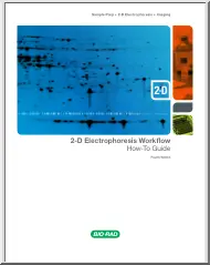 2D ElectroPhoresis Workflow, How to Guide