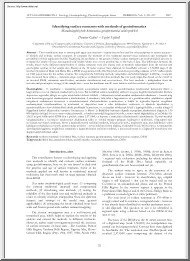Demeter-Szabó - Identifying Surface Remnants with Methods of Geoinformatics