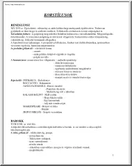 Korstílusok jellemzése