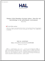 Marie Fiers - Origins of the Blemishes