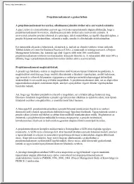 Projektmenedzsment a gyakorlatban