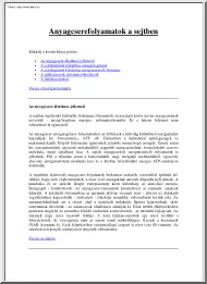 Anyagcserefolyamatok a sejtben