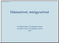 Baksa-Dr. Ruttkay - Hámszövet, mirigyszövet