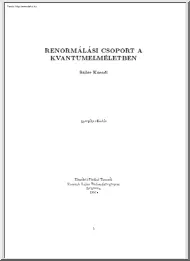 Sailer Kornél - Renormálási csoport