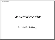 Dr. Réthelyi Miklós - Nervengewebe