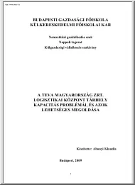 Abonyi Klaudia - A Teva Magyarország Zrt logisztikai központ tárhely kapacitás problémái, és azok lehetséges megoldása