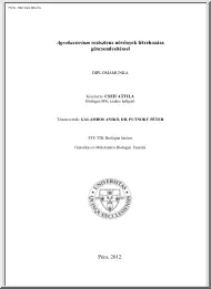 Cseh Attila - Agrobacterium rezisztens növények létrehozása géncsendesítéssel