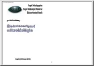 Dr. Soós József - Élelmiszeripai