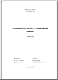 Csontó Erzsébet - Sztereotípiák Magyarországon a rendszerváltástól napjainkig