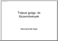 Ombódi Attila - Trópusi gyógy- és