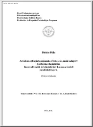 Birkás Béla - Arcok