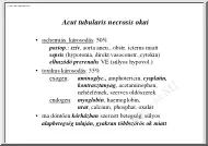 Acut tubularis necrosis okai
