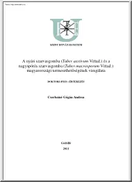 Csorbainé Gógán Andrea - A nyári