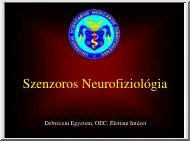 Szenzoros neurofiziológia