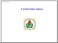 A prefrontális lebeny