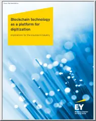 Blockchain technology as a platform for digitization