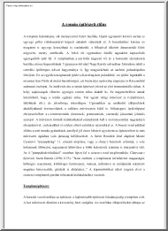 A román építészeti stílus