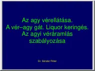 Dr. Sándor Péter - Az agy