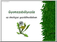 Gyomszabályozás az ökológiai gazdálkodásban, előadás