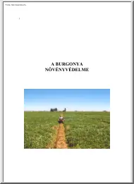 A burgonya növényvédelme