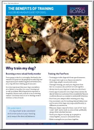 A Good Behaviour Guide for Dogs