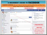 A Beginners Guide to Facebook