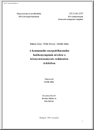 A kommunális energiafelhasználás hatékonyságának növelése a környezetszennyezés csökkentése érdekében