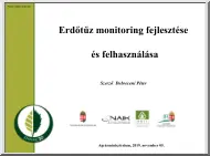 Debreceni Péter - Erdőtűz monitoring