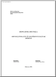 Bódisné Fajcsi Erika - Az