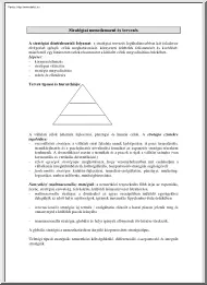 Simon Szilvia - Stratégiai menedzsment