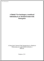 A Budai Vár-barlangra vonatkozó