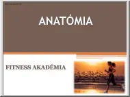 Anatómia