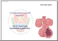 Prof. Dr. Szabó Gyula - A